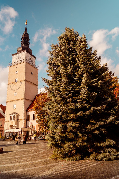 Vianočný strom v Trnave