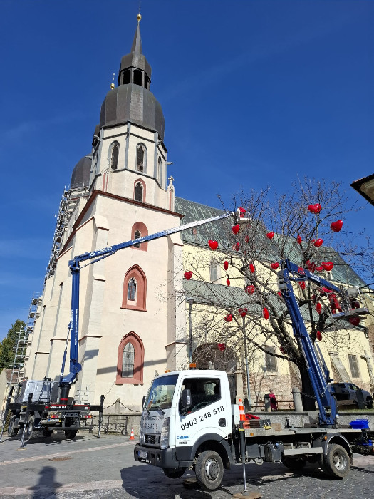 Výzdoba stromu srdiečkami pri bazilike v Trnave